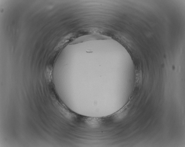 X0000083650142200703051736