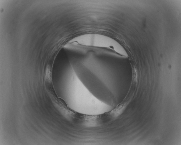 X0000083650143200703051736