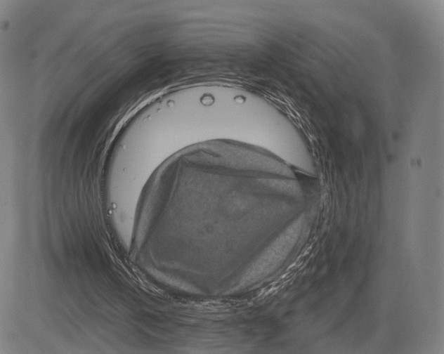 X0000083650146200703051735