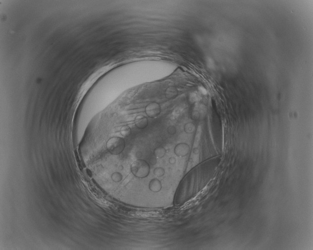 X0000083650147200703051735