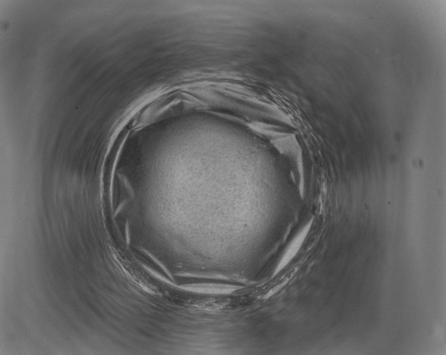 X0000083650148200703051735