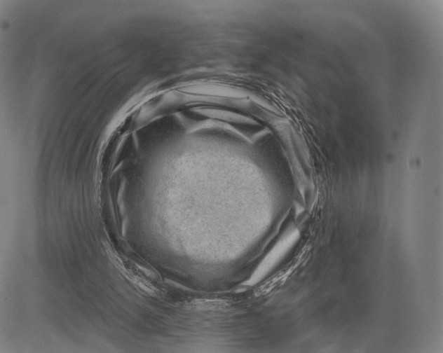 X0000083650150200703051735