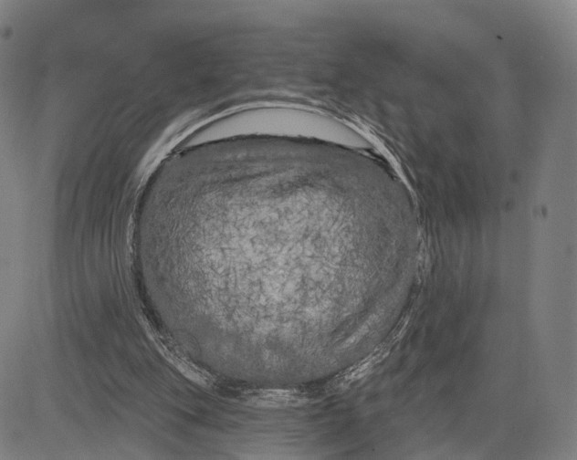 X0000083650151200703051735