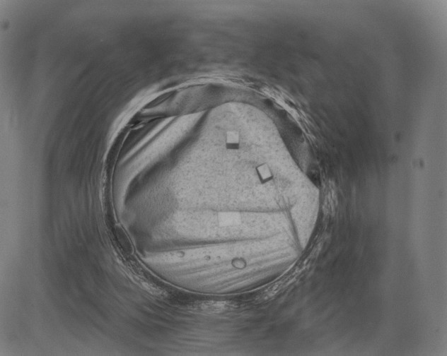 X0000083650152200703051735