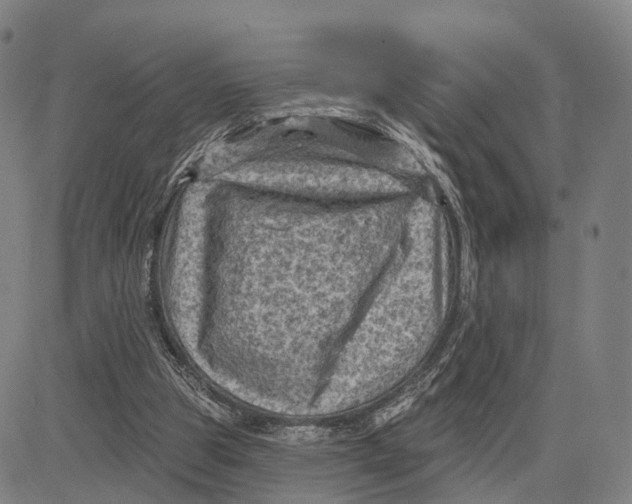 X0000083650153200703051735