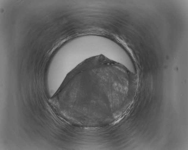 X0000083650154200703051735