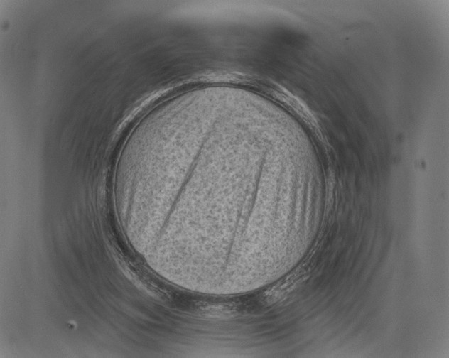 X0000083650155200703051735