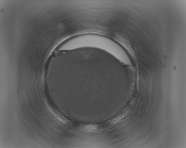 X0000083650156200703051735