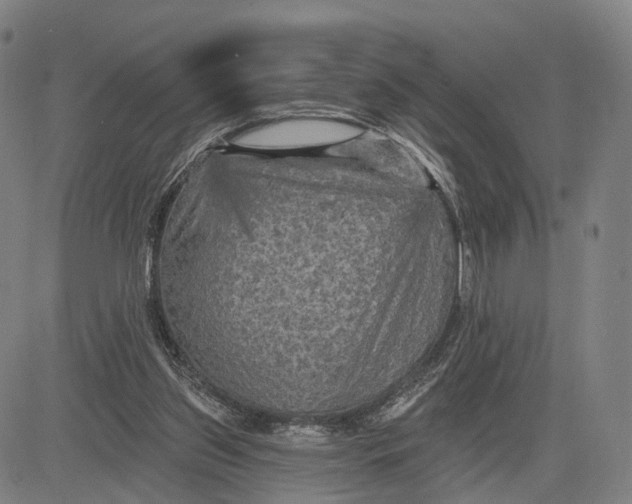 X0000083650157200703051735