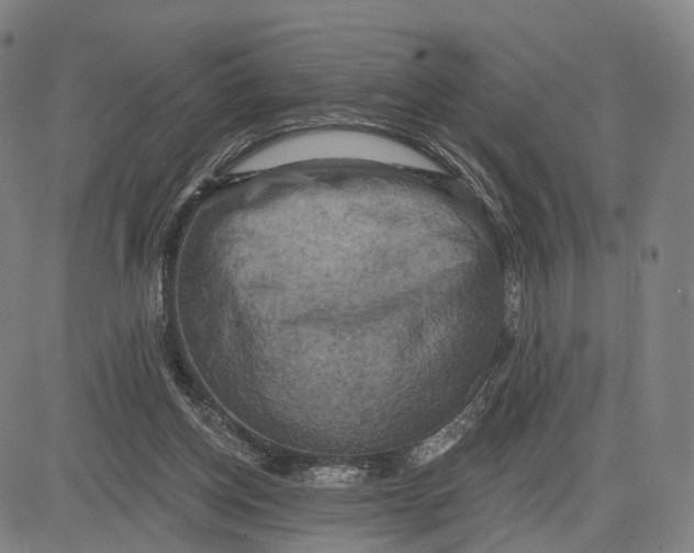 X0000083650158200703051735