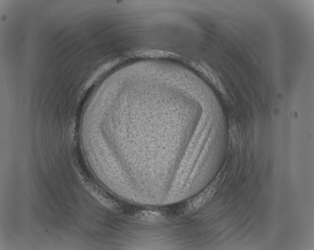 X0000083650159200703051735