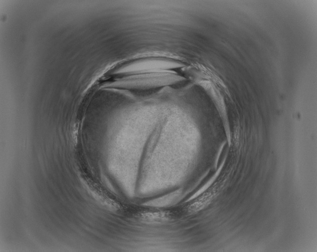 X0000083650160200703051735