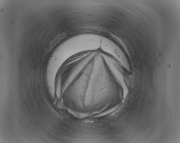 X0000083650162200703051735