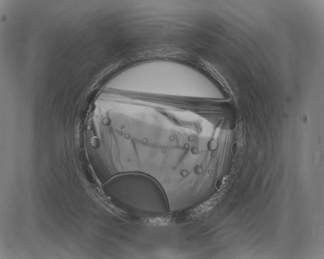 X0000083650163200703051735