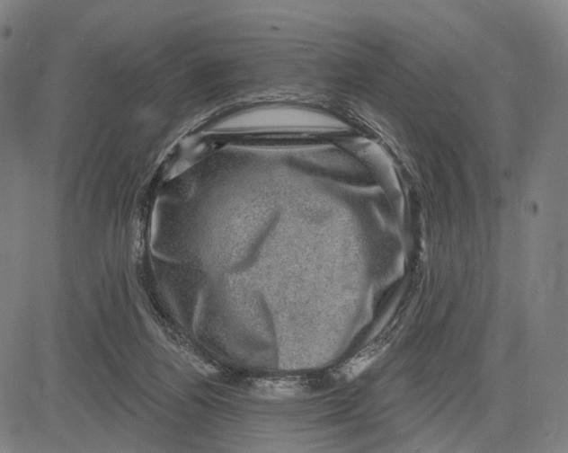 X0000083650164200703051735