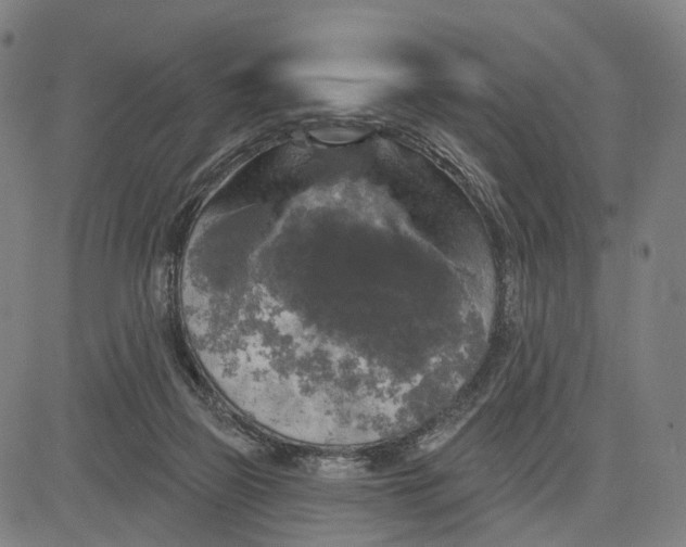 X0000083650165200703051735