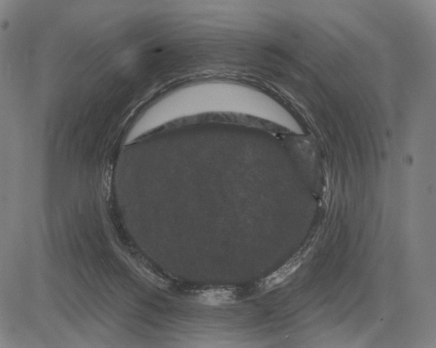 X0000083650168200703051735