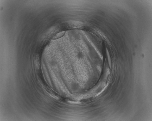 X0000083650170200703051735