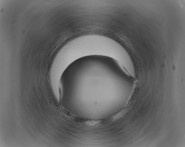 X0000083650172200703051735