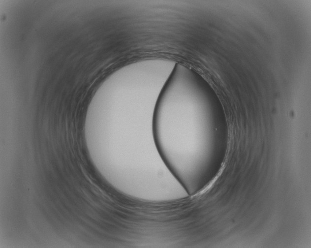 X0000083650174200703051735