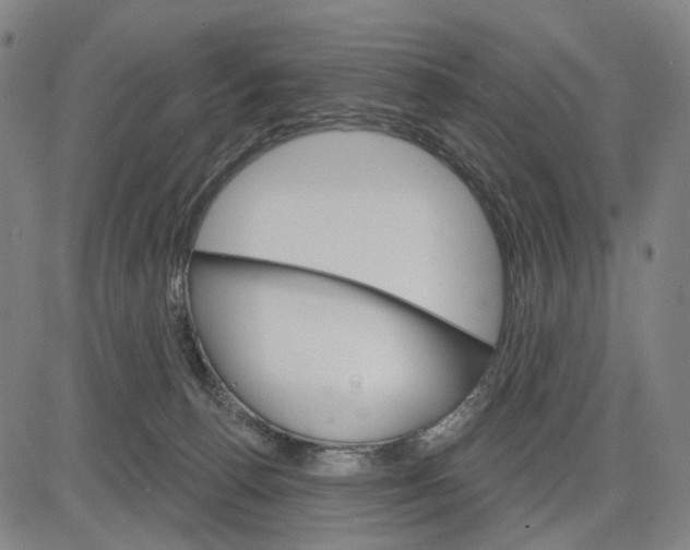 X0000083650176200703051735