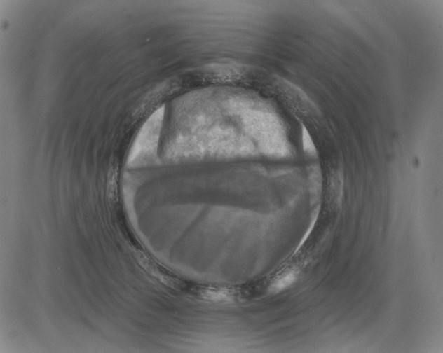 X0000083650177200703051735