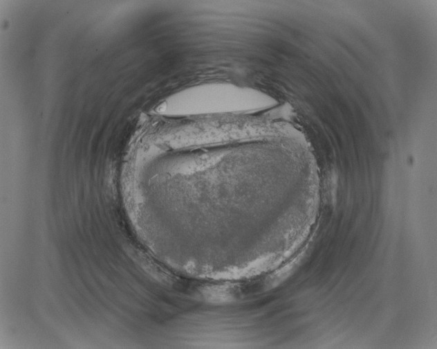 X0000083650178200703051735