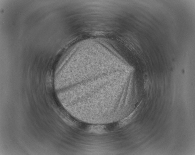 X0000083650179200703051735