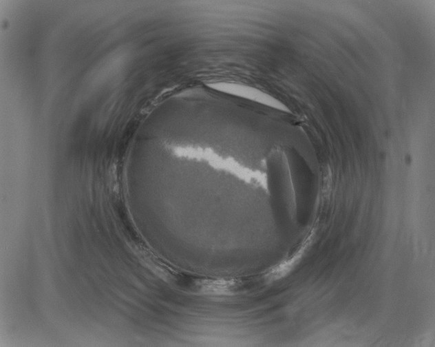 X0000083650182200703051735