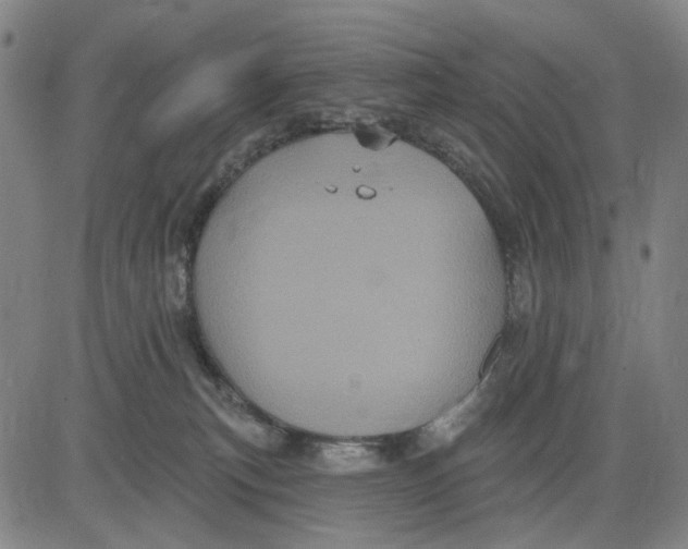 X0000083650183200703051735