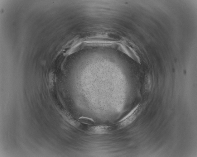 X0000083650184200703051736