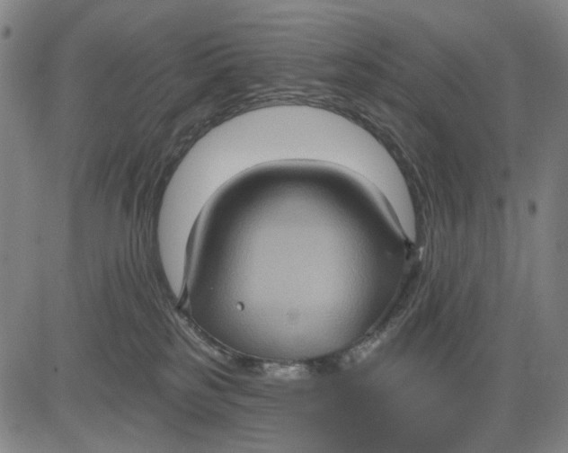 X0000083650185200703051736