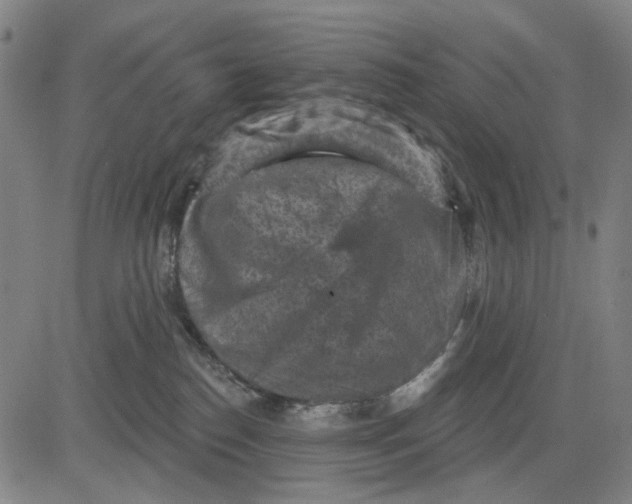 X0000083650186200703051736