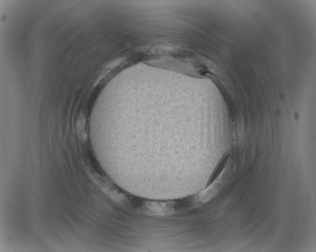 X0000083650187200703051736