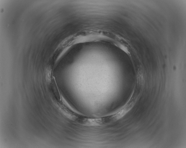 X0000083650188200703051736