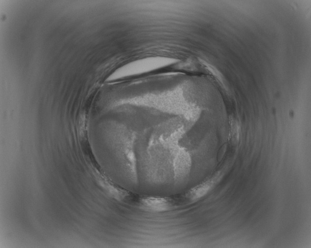 X0000083650189200703051736