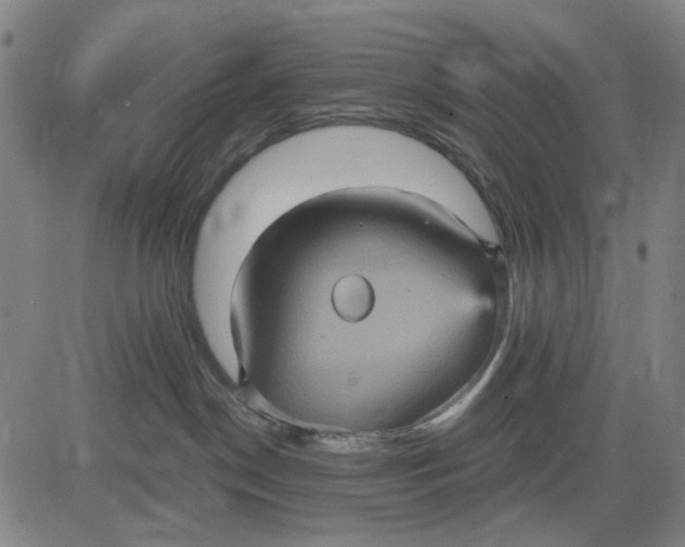 X0000083650190200703051736