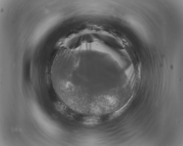 X0000083650191200703051736