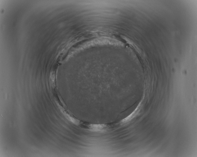 X0000083650192200703051736