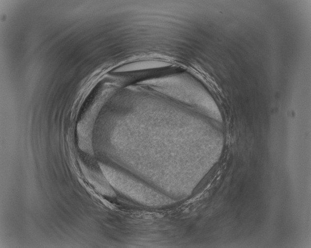 X0000083650193200703051735