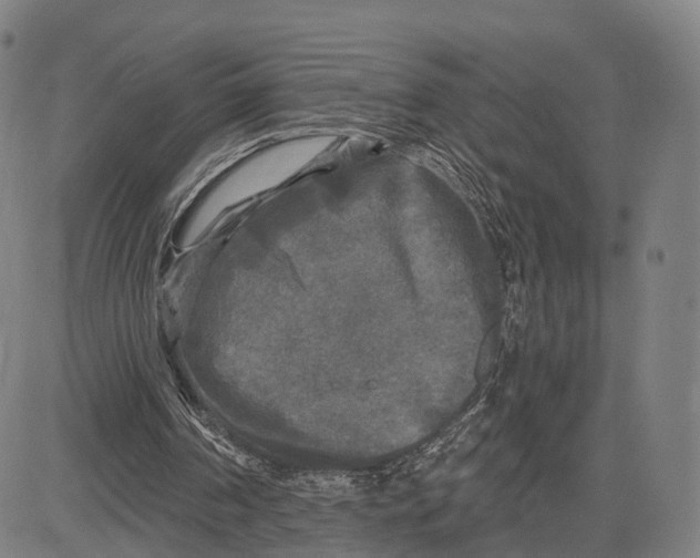 X0000083650194200703051735