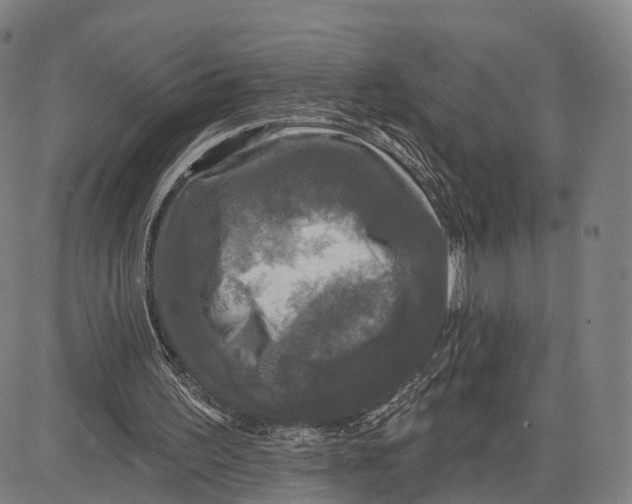 X0000083650195200703051735