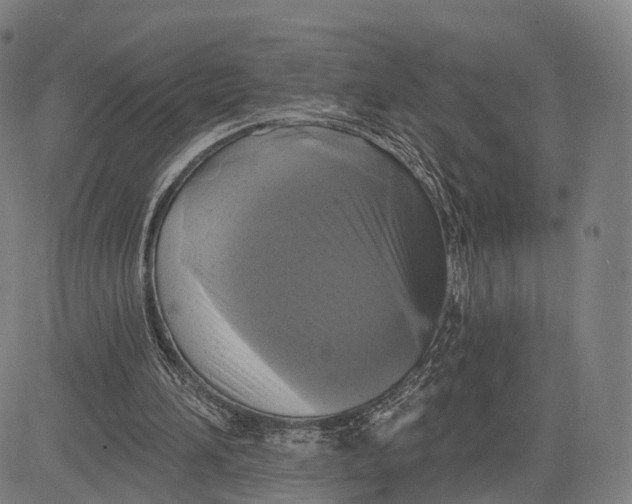 X0000083650196200703051735