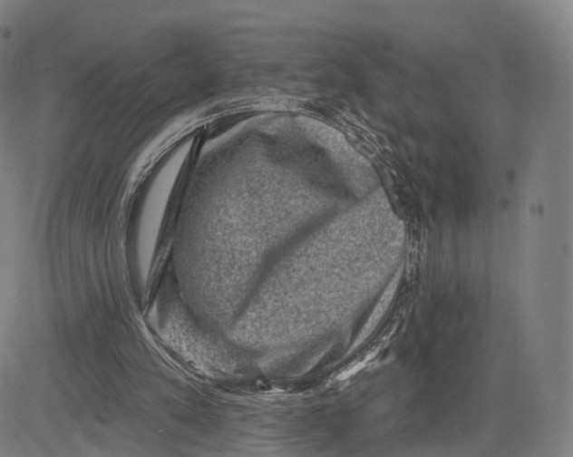 X0000083650197200703051735