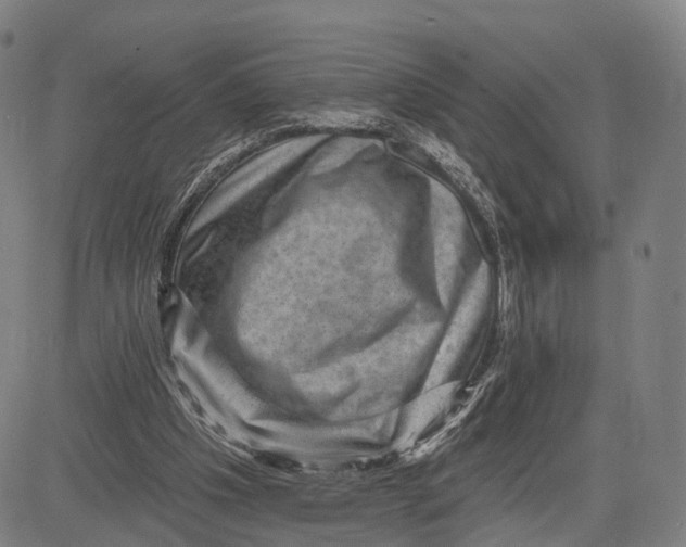 X0000083650201200703051735