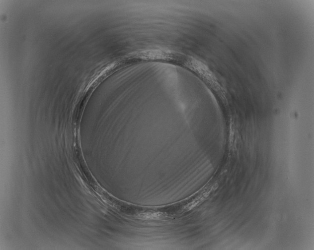 X0000083650202200703051735