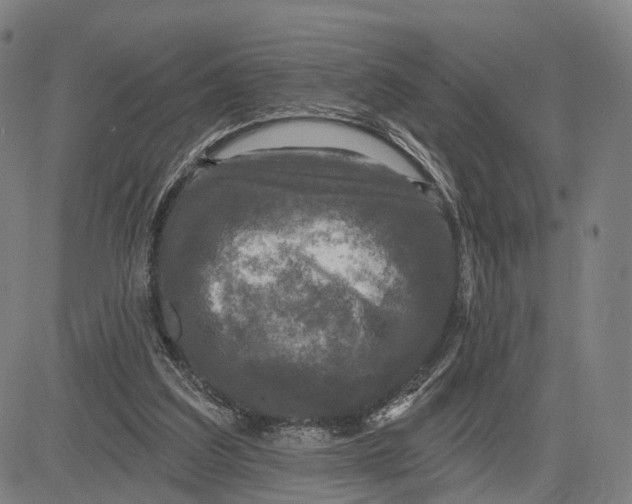 X0000083650203200703051735