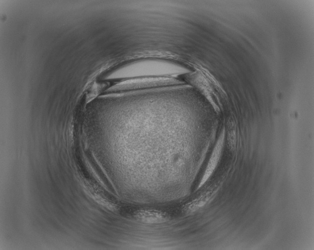 X0000083650207200703051735