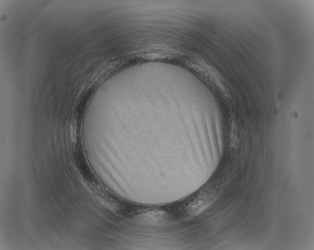 X0000083650210200703051735