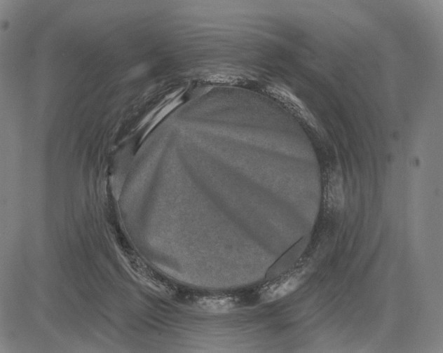 X0000083650213200703051735